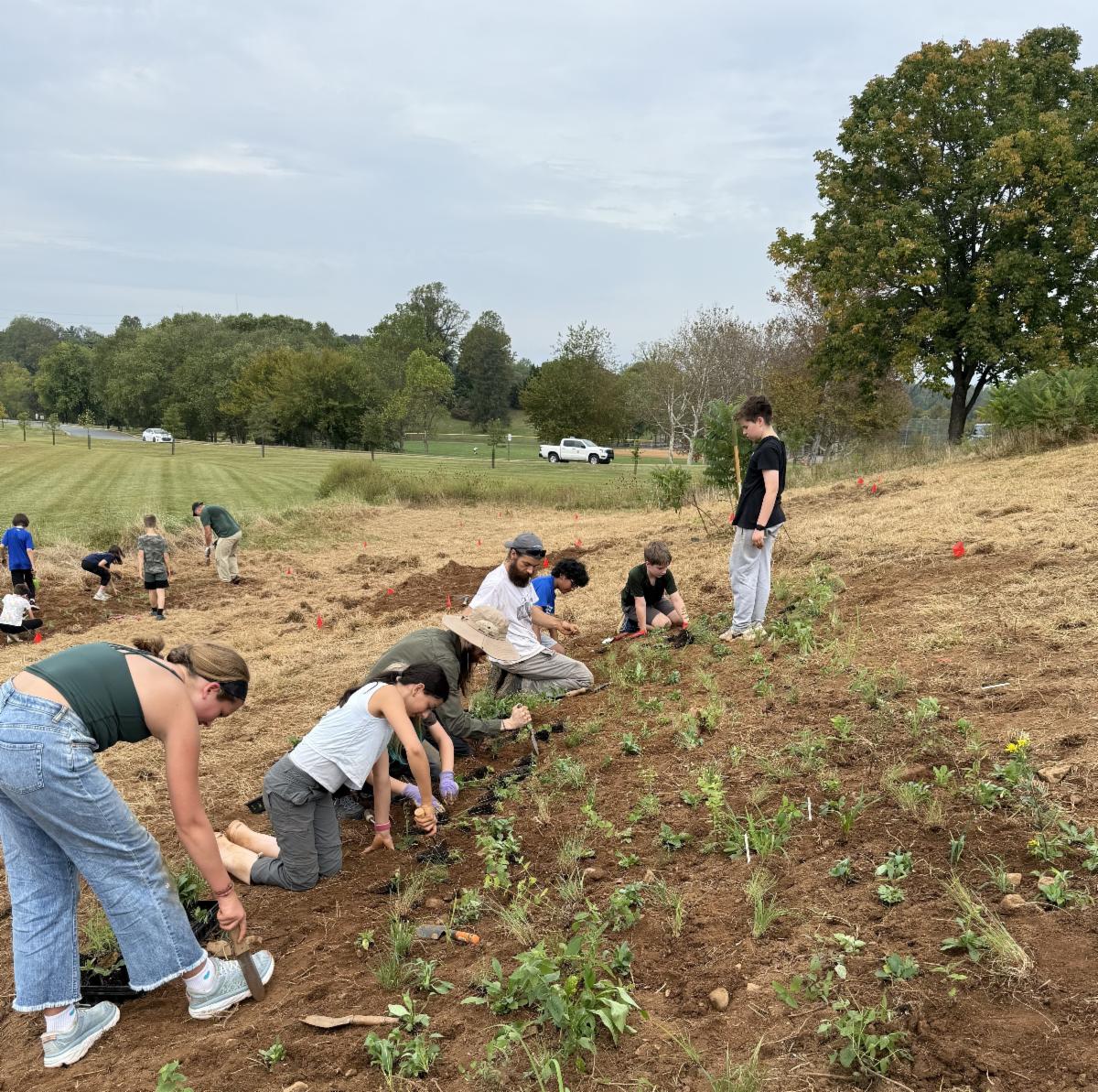 Darden Towe Bioblitz 2025