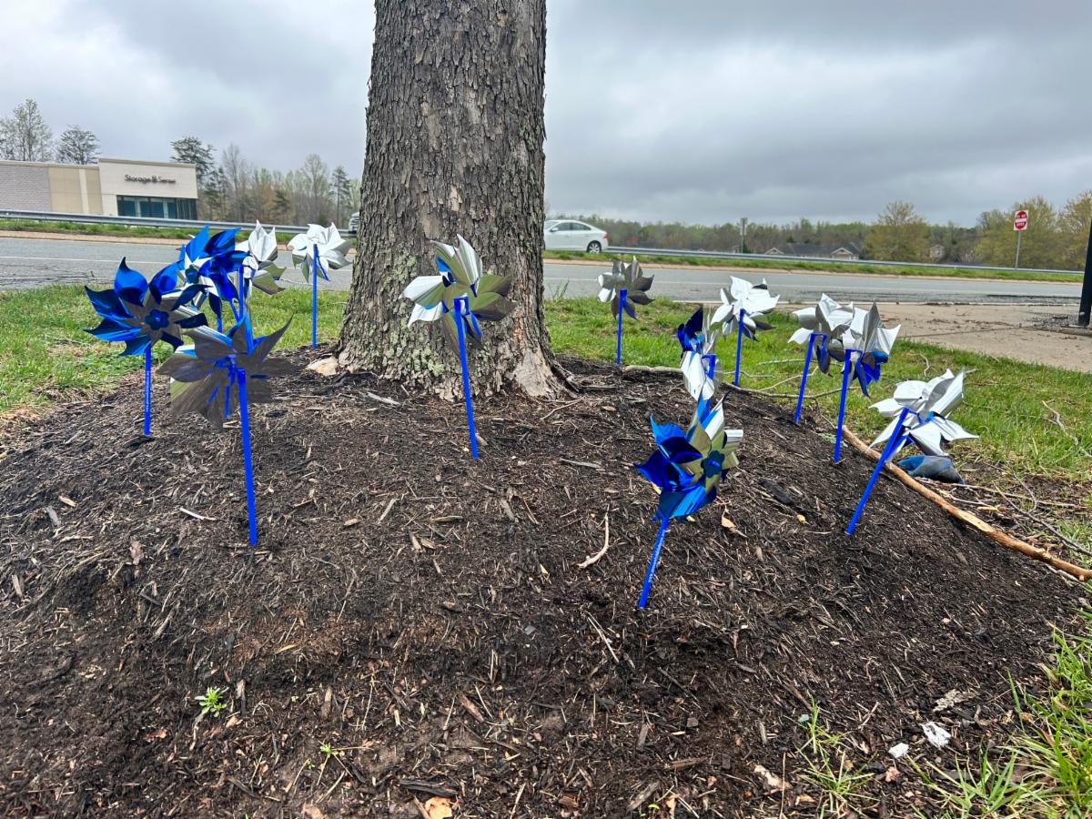 Child Abuse Prevention Month Blue Pinwheels on County lawn