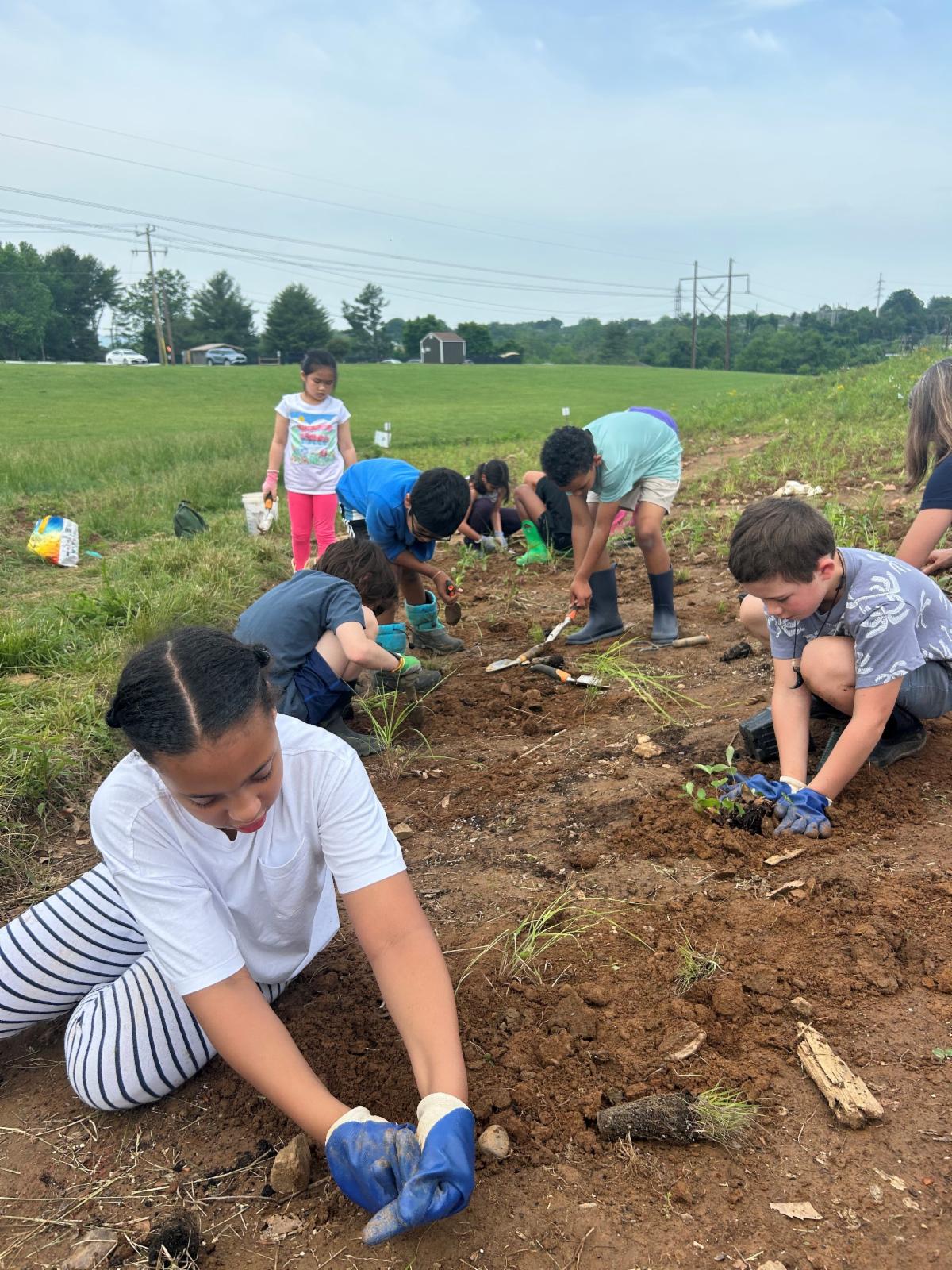 Darden Towe Park BioBlitz Planting Event with Peabody students