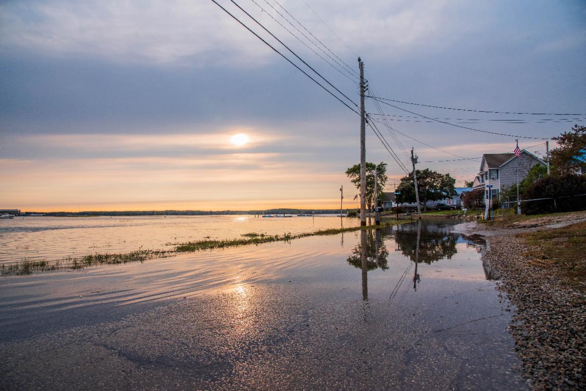 Flooded Coastline