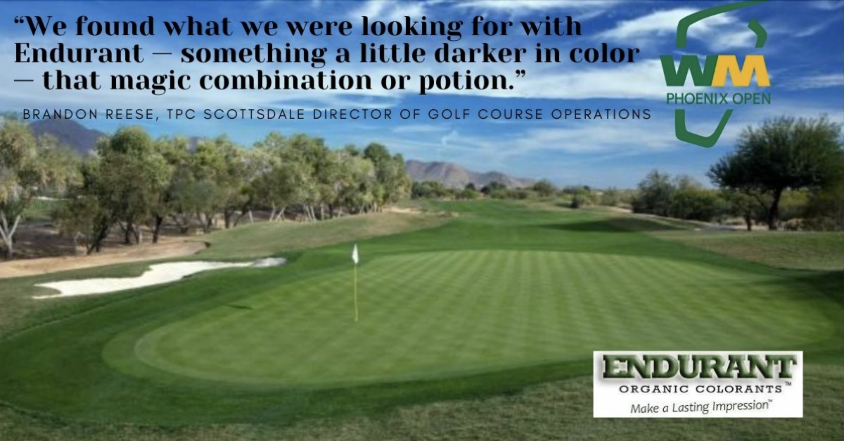 TPC Scottsdale Waste Management Phoenix Open Brandon Reese Endurant.png