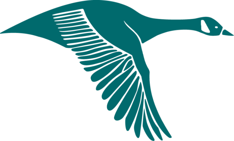 Goose Icon