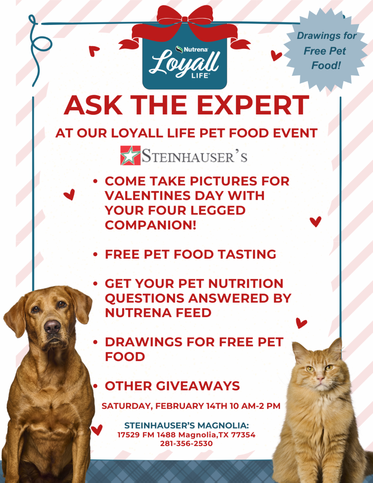flyer listing event details with Valentine's day hearts and a dog and fluffy cat.