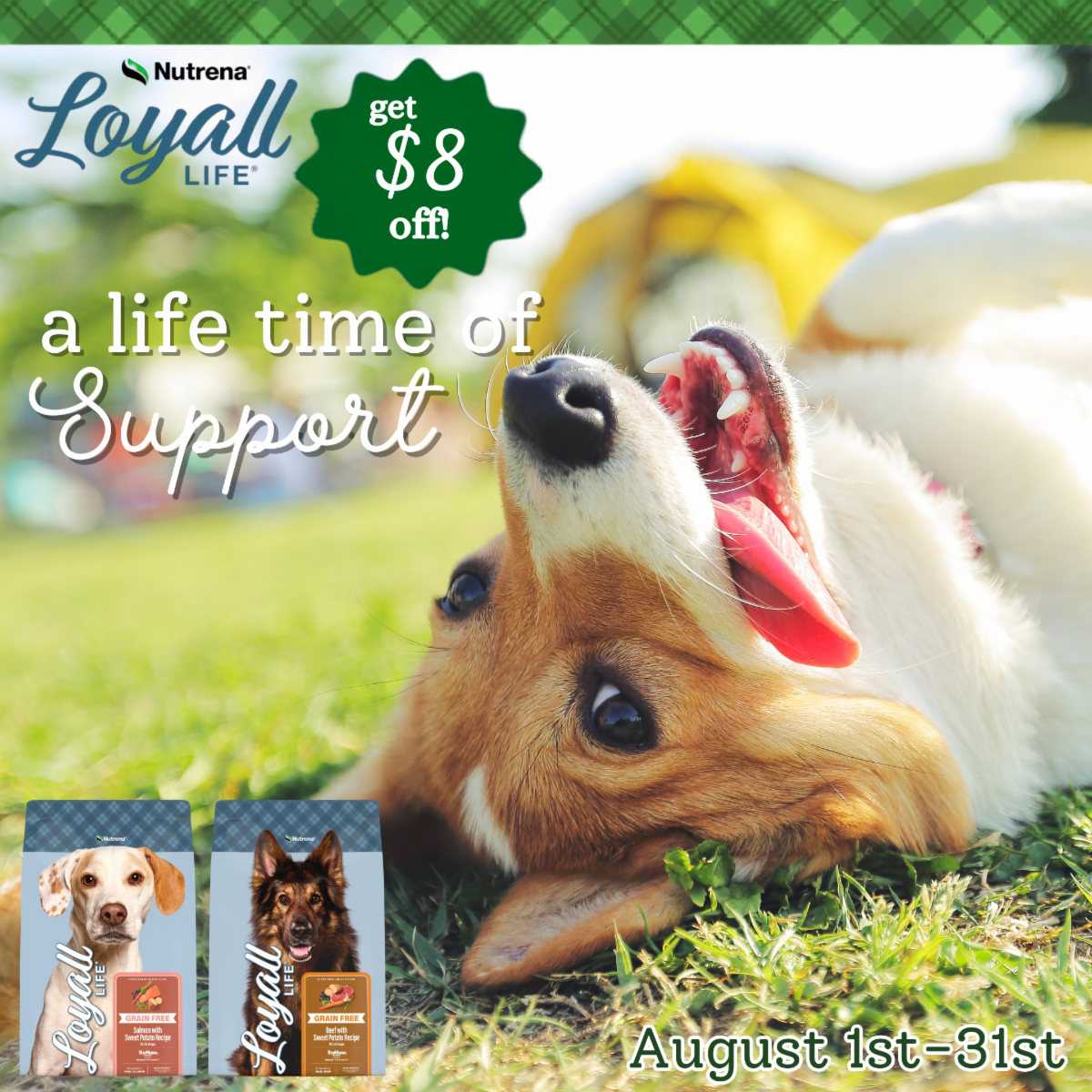 Save $8 on Loyall Life Grain Free Dog Food This August - photo of two products bags on sale with a little corgi lying on grass