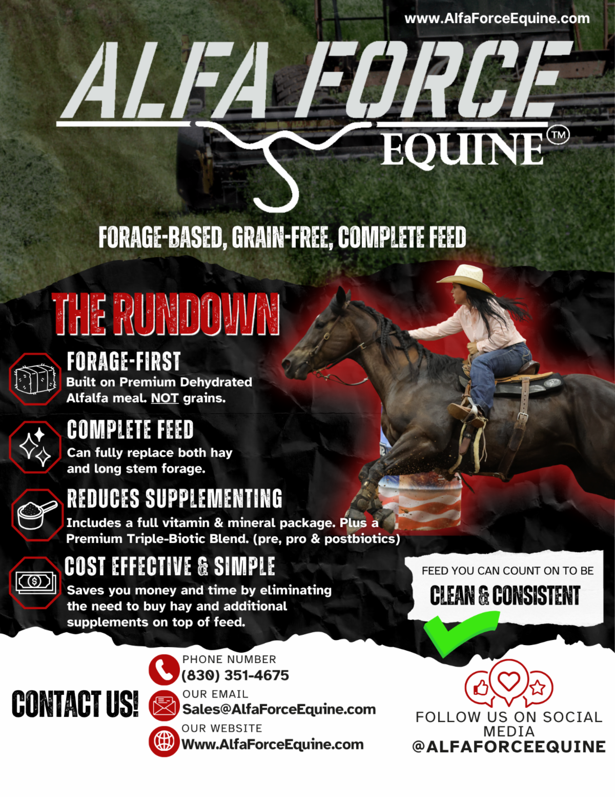 Promotional flyer for Alfa Force Equine, a forage-based, grain-free complete horse feed. The design features a farm field at the top, bold Alfa Force Equine branding, and a section highlighting key benefits including forage-first ingredients, complete feed