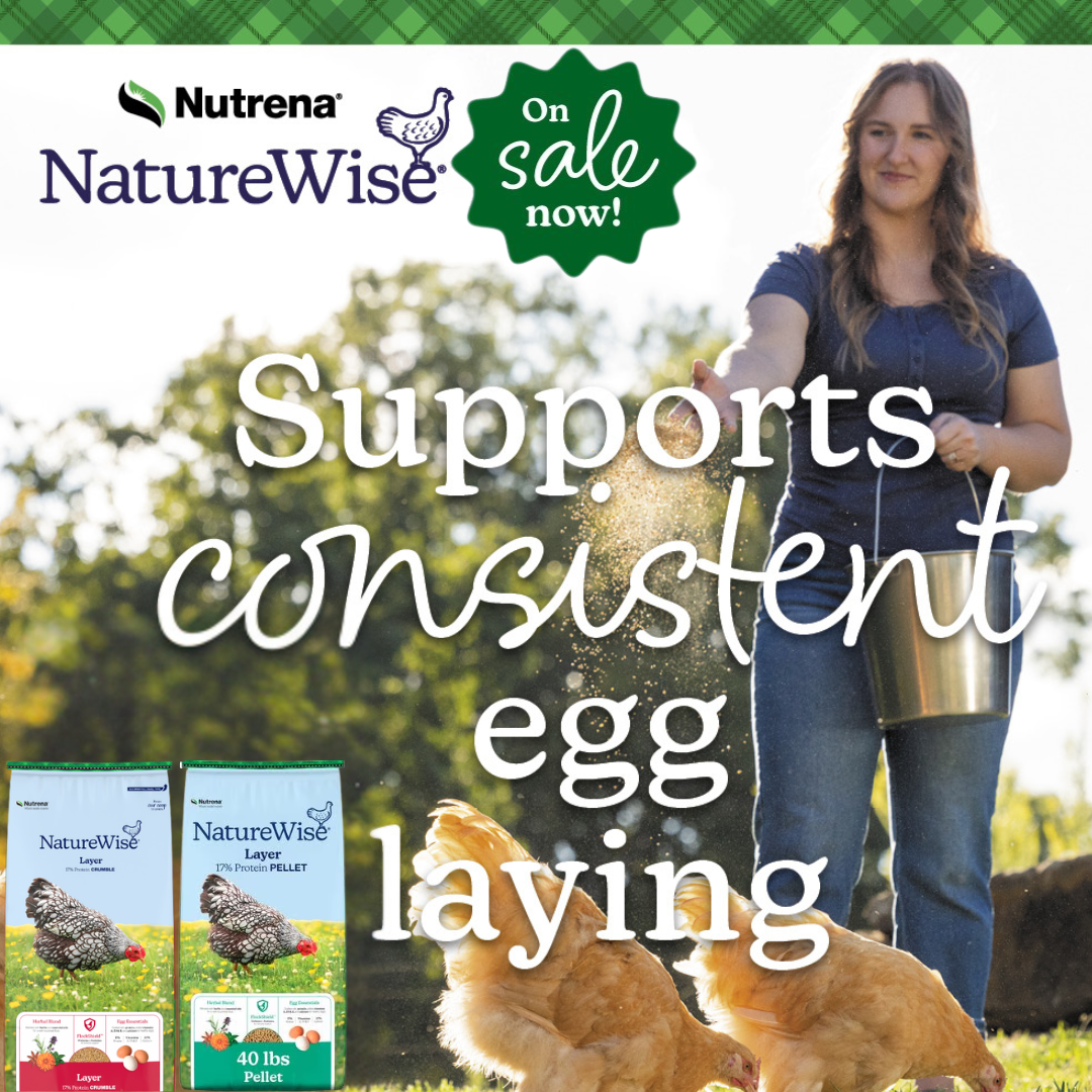 Graphic that says on sale now with photo of product bags and woman feeding chickens