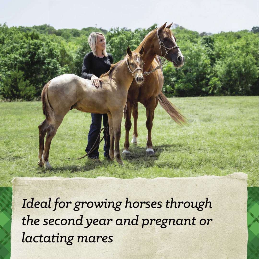 photo of woman standing with mare & its foal