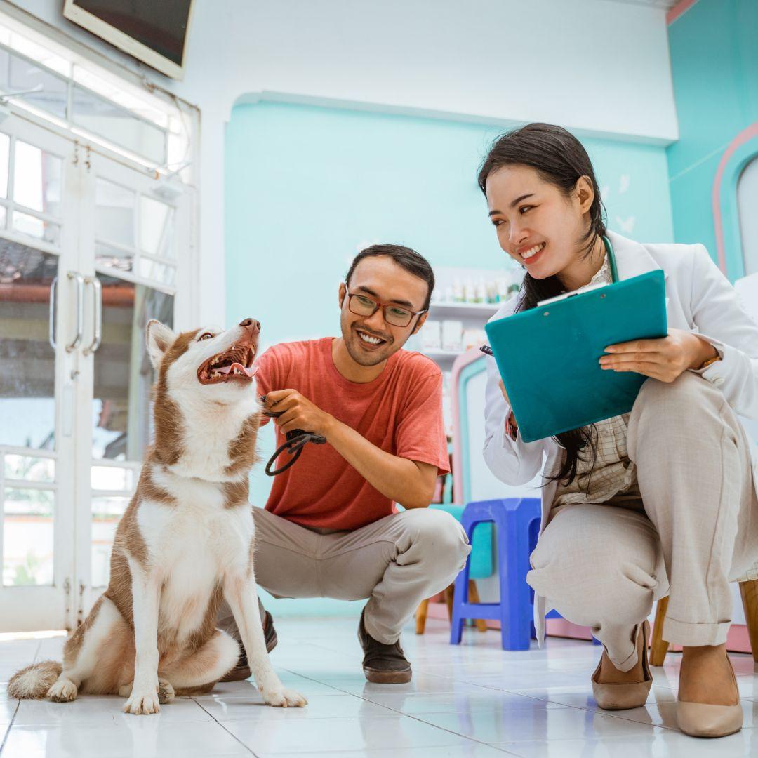Male and Female vets with husky next to them