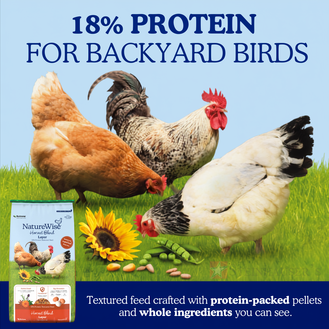 photo of hens eating grains with nutrena bag art