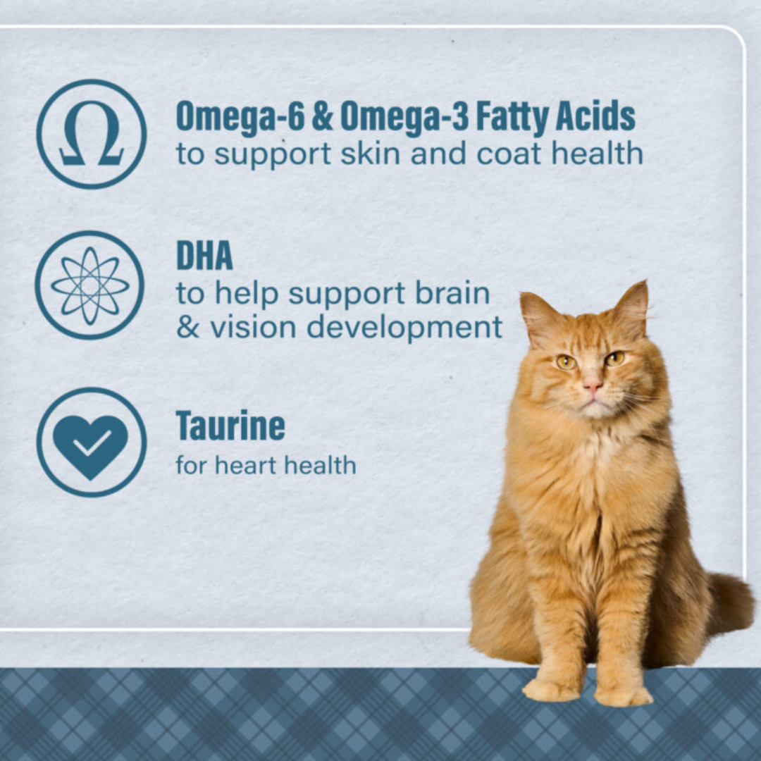 Graphic of orange cat next to list of product benefits