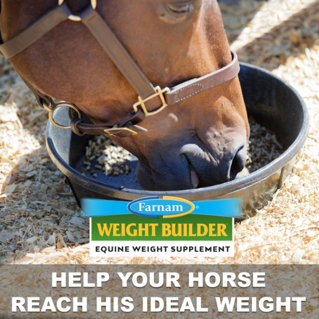 Horse eating Farnam weight builder from bowl with text that says "Help your horse reach his ideal weight."