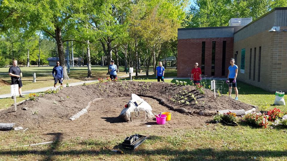 Landscape Gardening