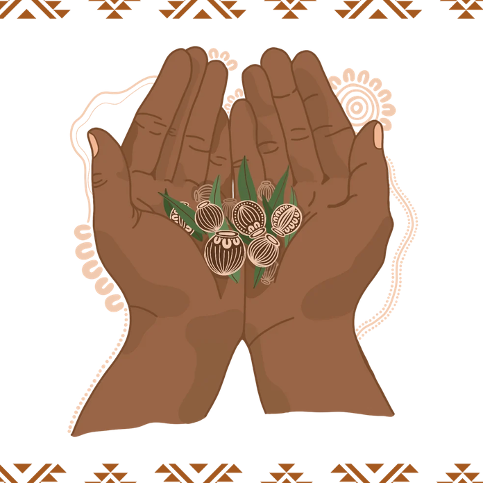 A pair of hands holding seeds and nuts on a white background with a patterned edge.