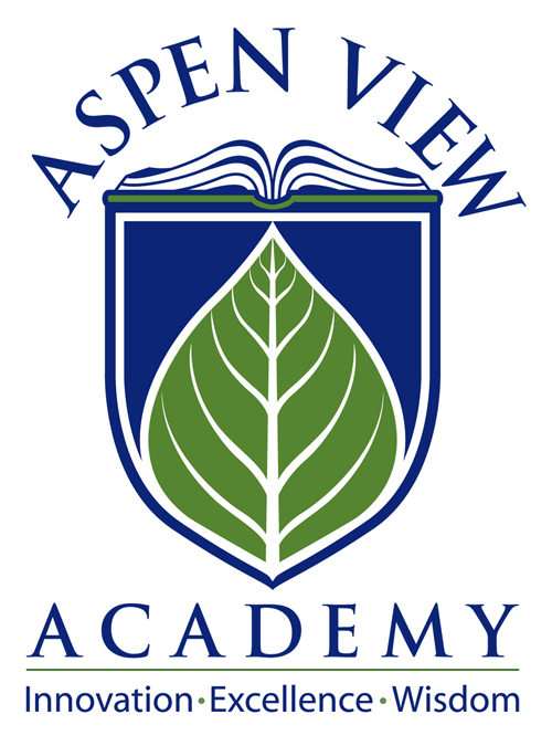 AVA Logo 1