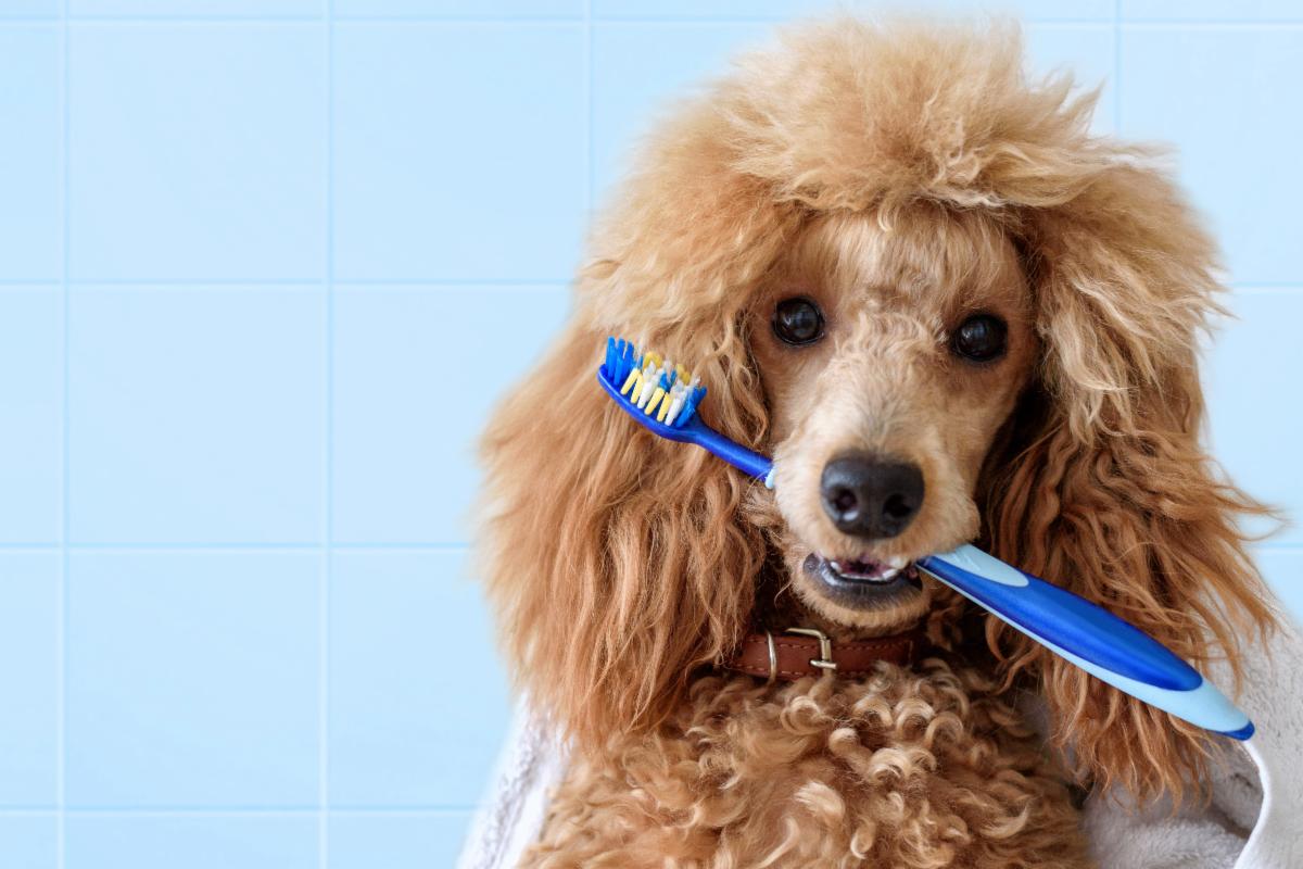 7f02975b-7f3c-4d5d-a496-ddeb140f5d12 image