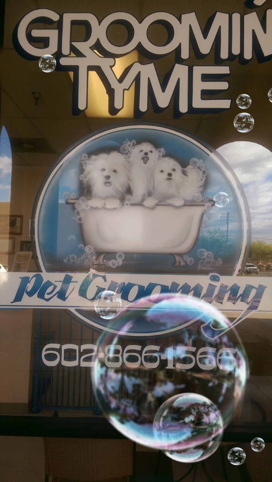 ce02a599-5e54-4207-b501-4aaf03e43ecb image