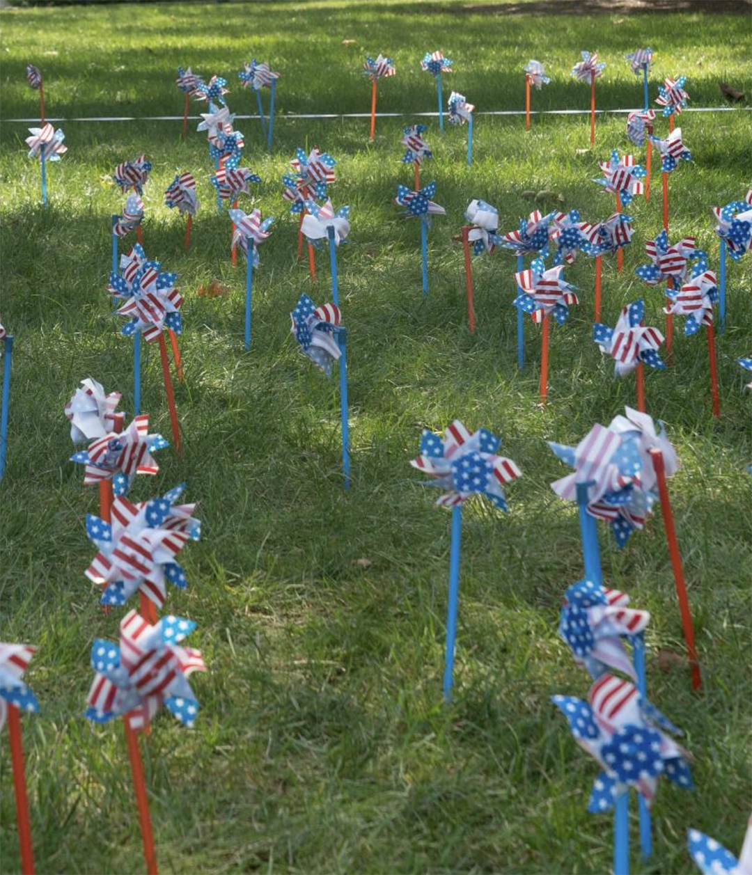Several red, white and blue American flag pinwheels in green grass.