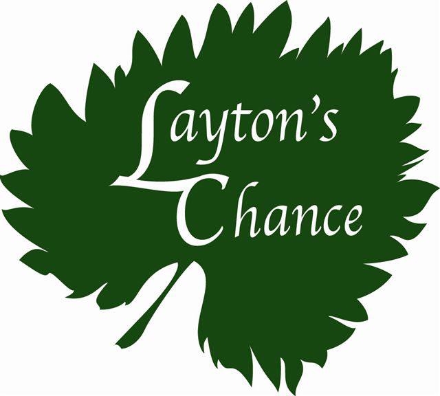 Laytons Chance leaf logo