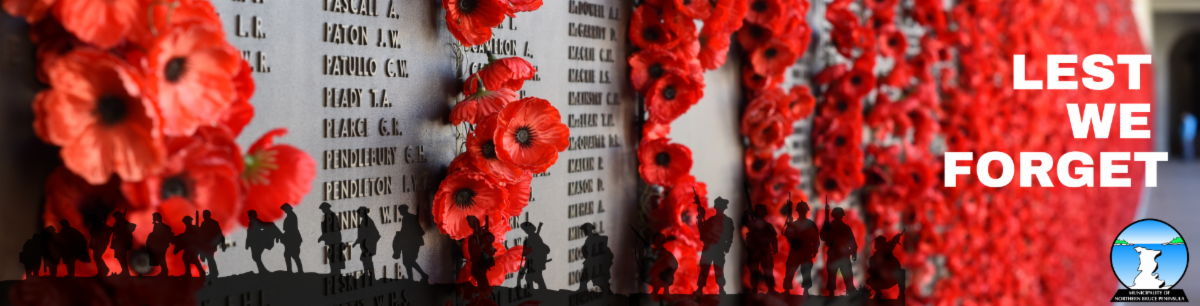 Decorative banner for November 2025 Newsletter