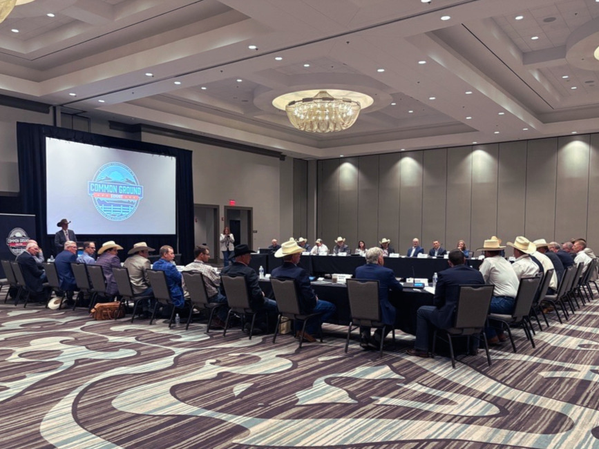 Dustin Rippe For Immediate Release: Omaha Summit Expands Common Ground Coalition ...