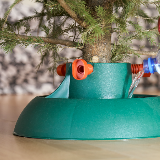 Watering a Christmas tree