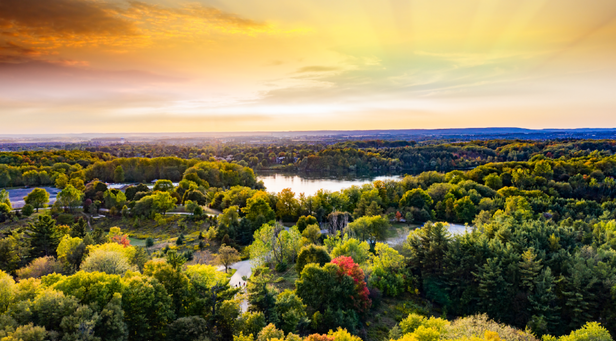 Aerial view of Brampton forrest