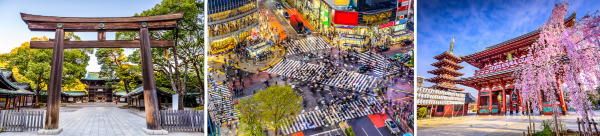 A torii gate, the Shibuya crossing and a pagoda in bloom, Japan