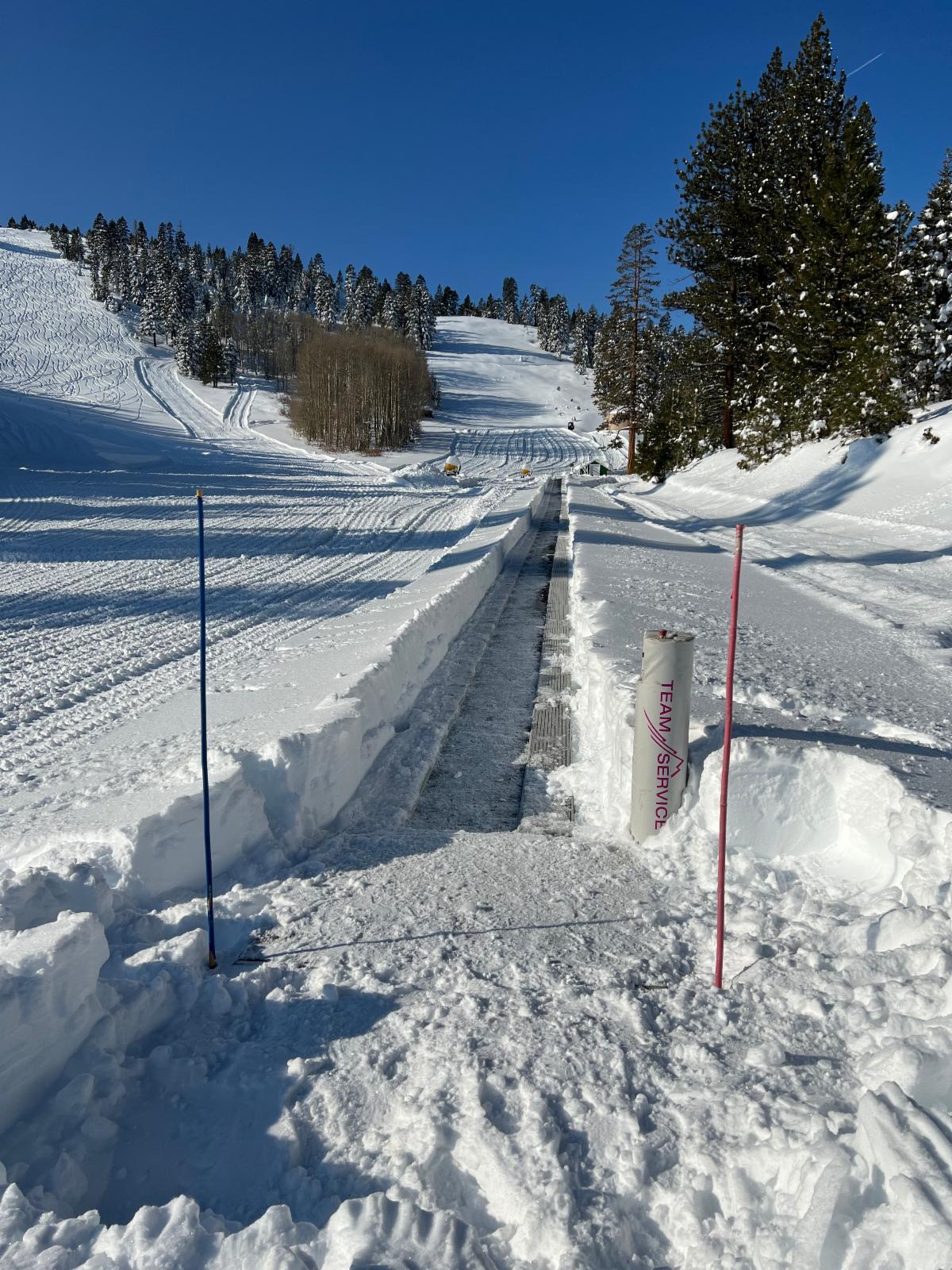 a17d76c6-1da7-4f4d-82fd-328f47ed3454.jpg?rdr=true