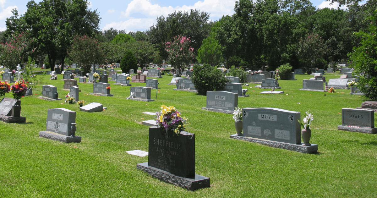 Cemetery section with green grass, grave markers and flowers in vases.