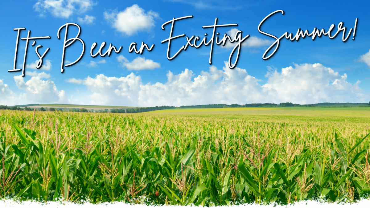 Cornfield with distressed bottom edge with text that reads, "Itâs been an exciting summer".