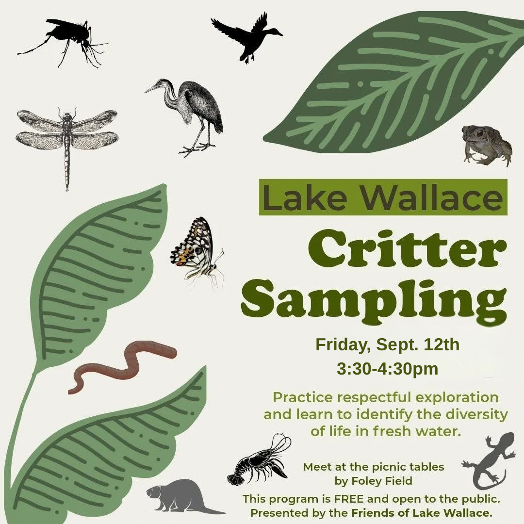 Friends of Lake Wallace Critter Sampling event poster