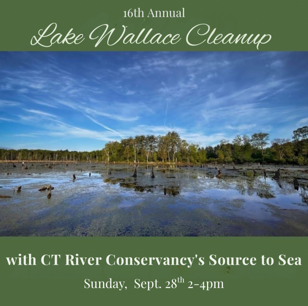 Friends of Lake Wallace Cleanup event poster