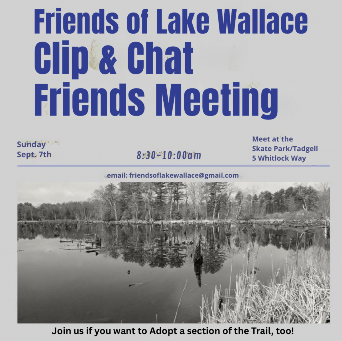 Friends of Lake Wallace Clip and Chat Friends Meeting event poster
