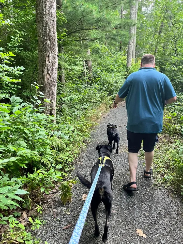 Man walking with two dogs on leash on a trail