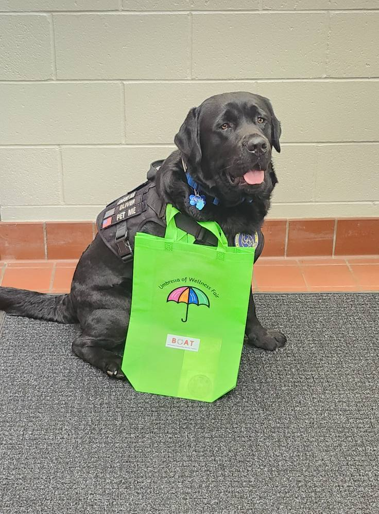 Oliver, a black Labrador therapy dog in a service vest, sitting with a green BOAT 'Umbrella of Wellness Fair' tote bag.