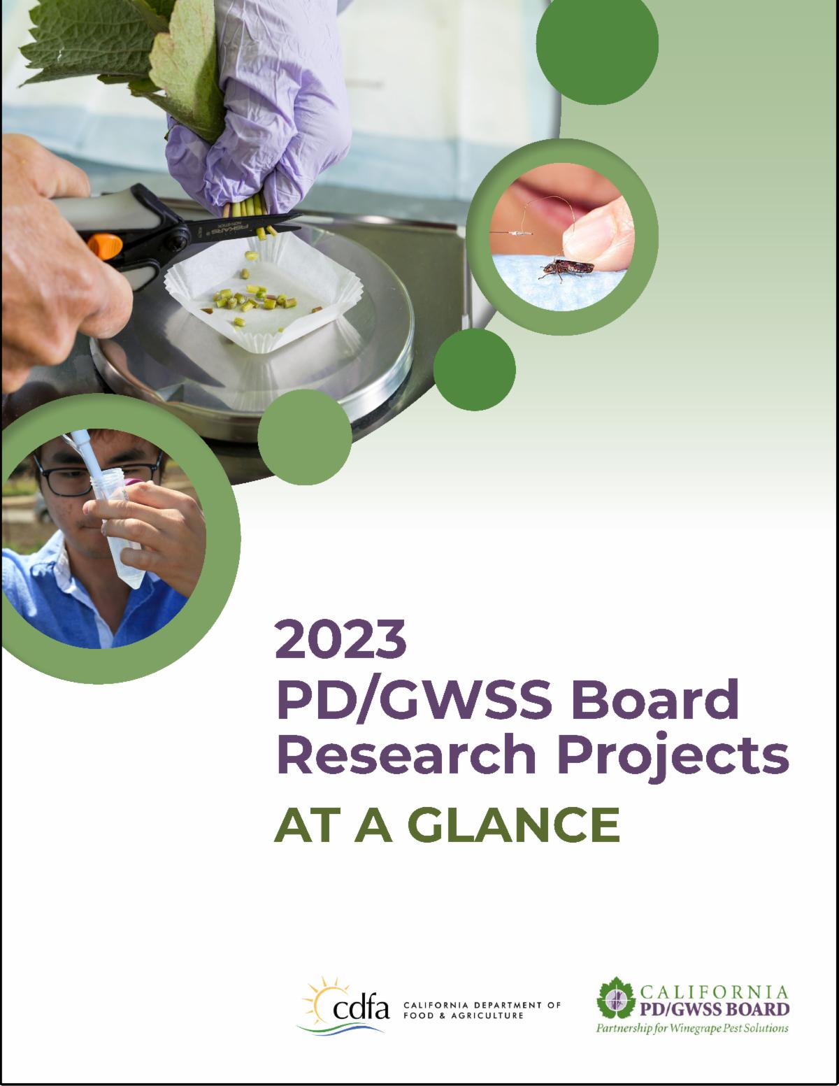 2023 Research Projects at a Glance