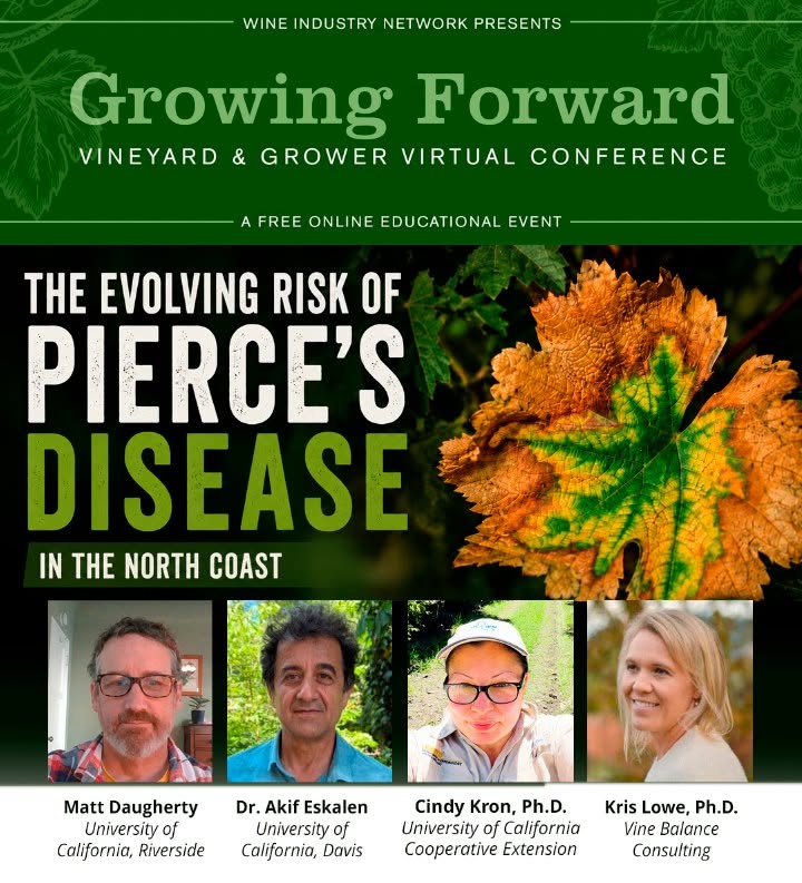 Growing Forward - the Evolving Risk of Pierce's Disease on the North Coast