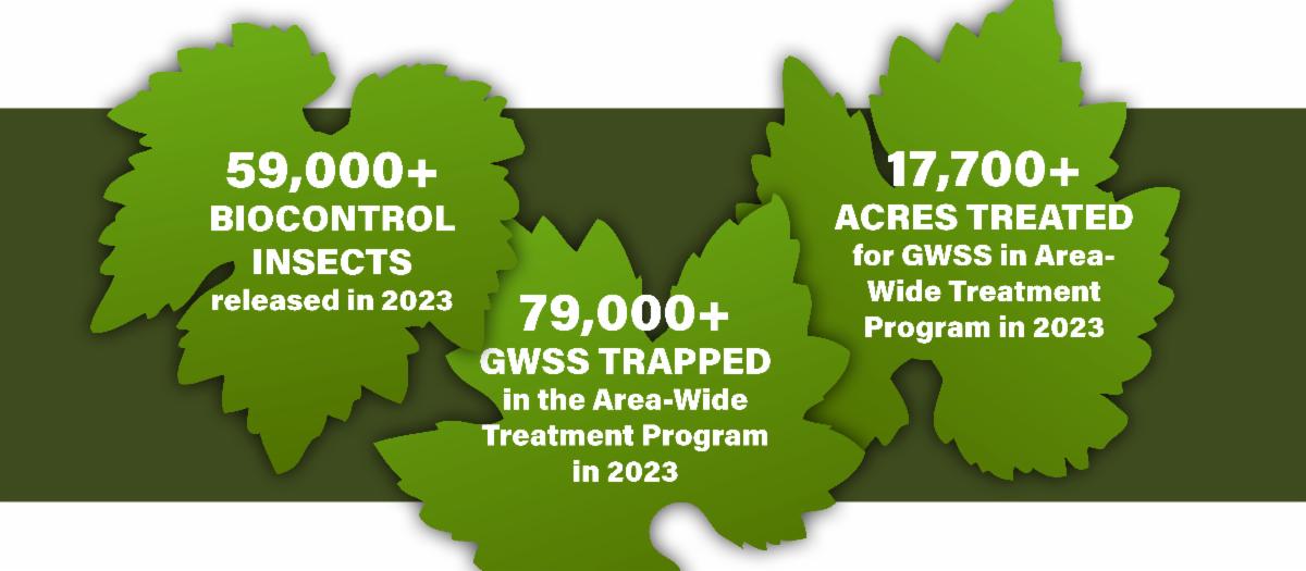 Grapevine Control Optimizing Grapevine Virus Research