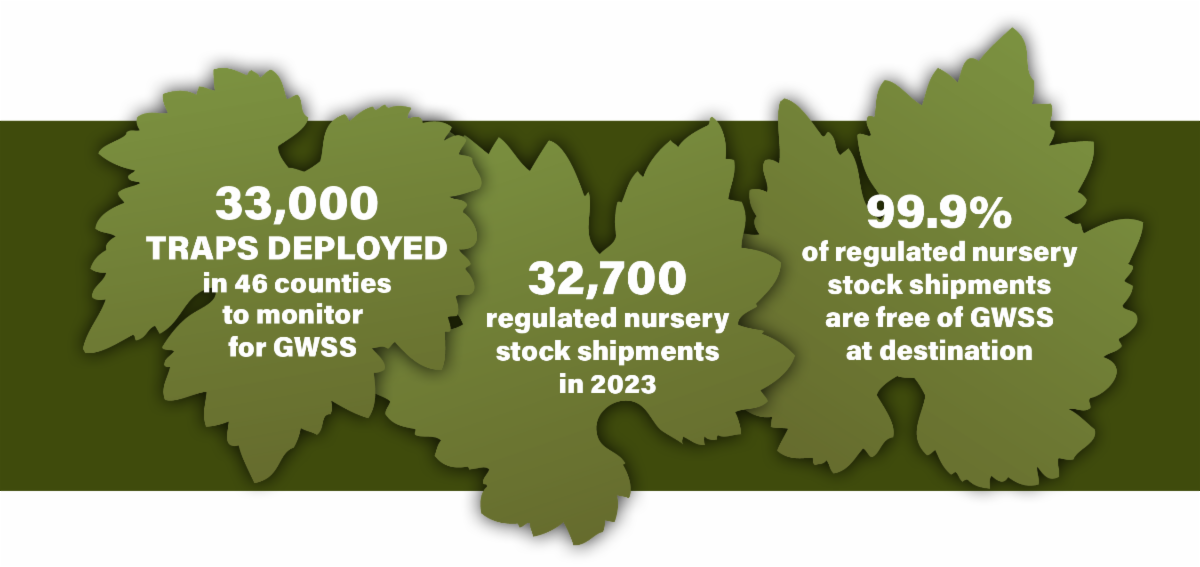 Impacts of the Pierce's Disease Control Program
