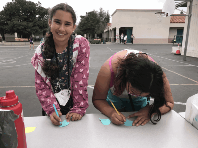 MAHM Activities