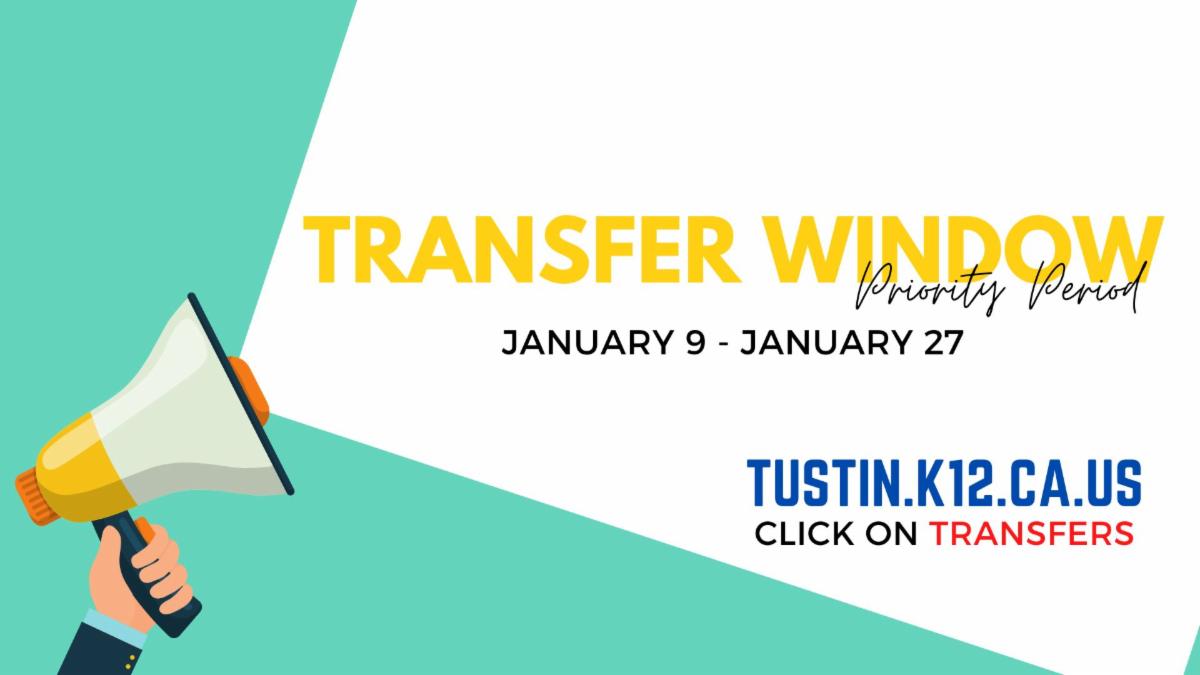 Transfer Window