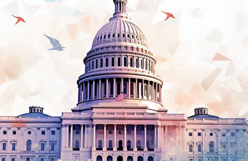 Artistic graphic of U.S. Capitol building with birds flying