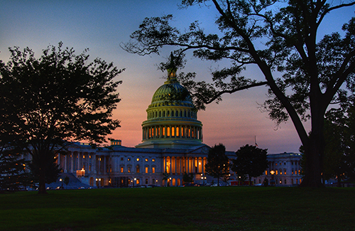 U.S. Capitol view of building near trees during night time photo by MIKE STOLL on Unsplash
