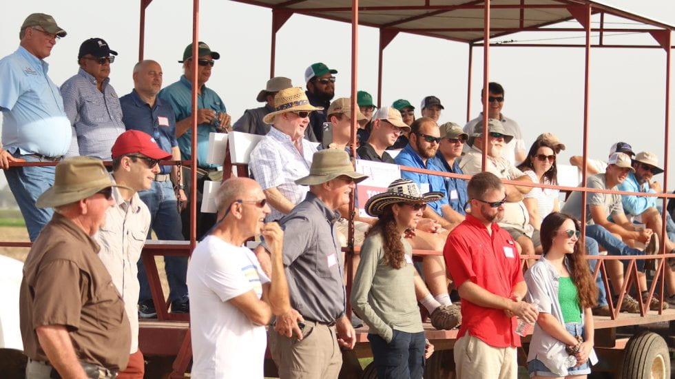 A group of field day participants sit and stand while listening to a speaker