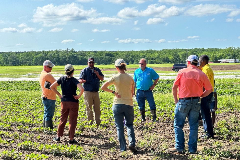 Group of people stand in a field listening to a man speak