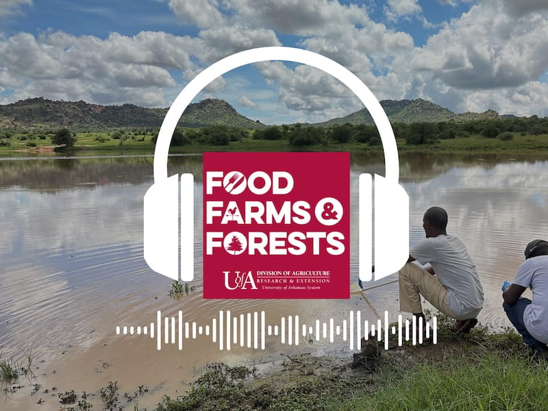 Two men crouch by a waterway with a Food Farms and Forests logo superimposed in the foreground