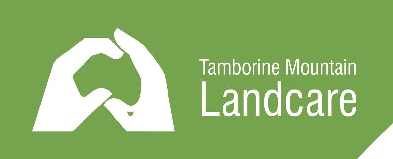 0.5829596412556054 TML Logo