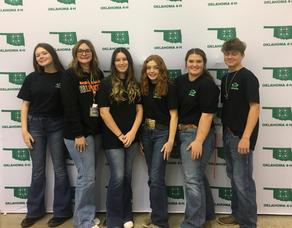 💚 UPDATED Clover Connection 💚