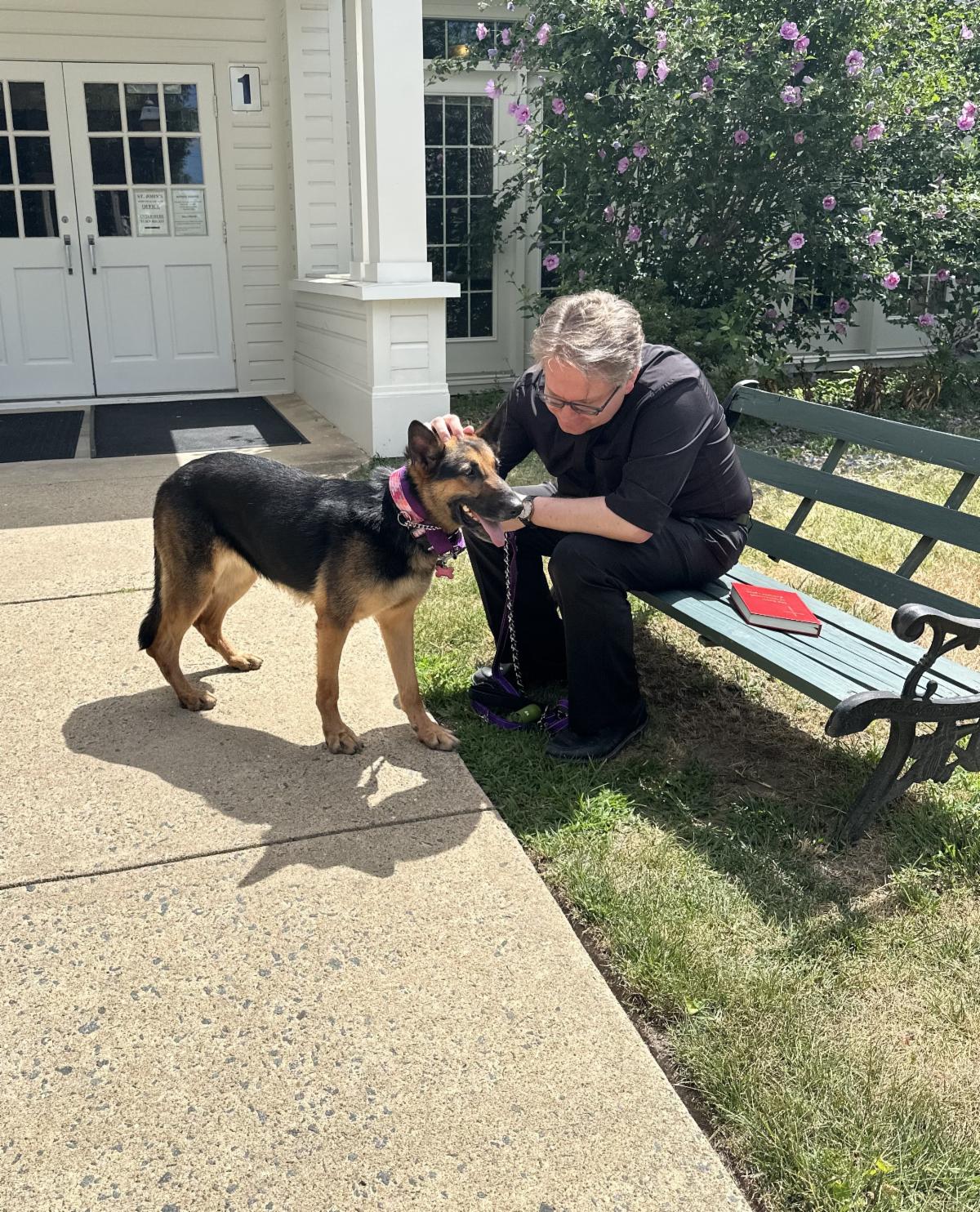 pet blessing emori vilma