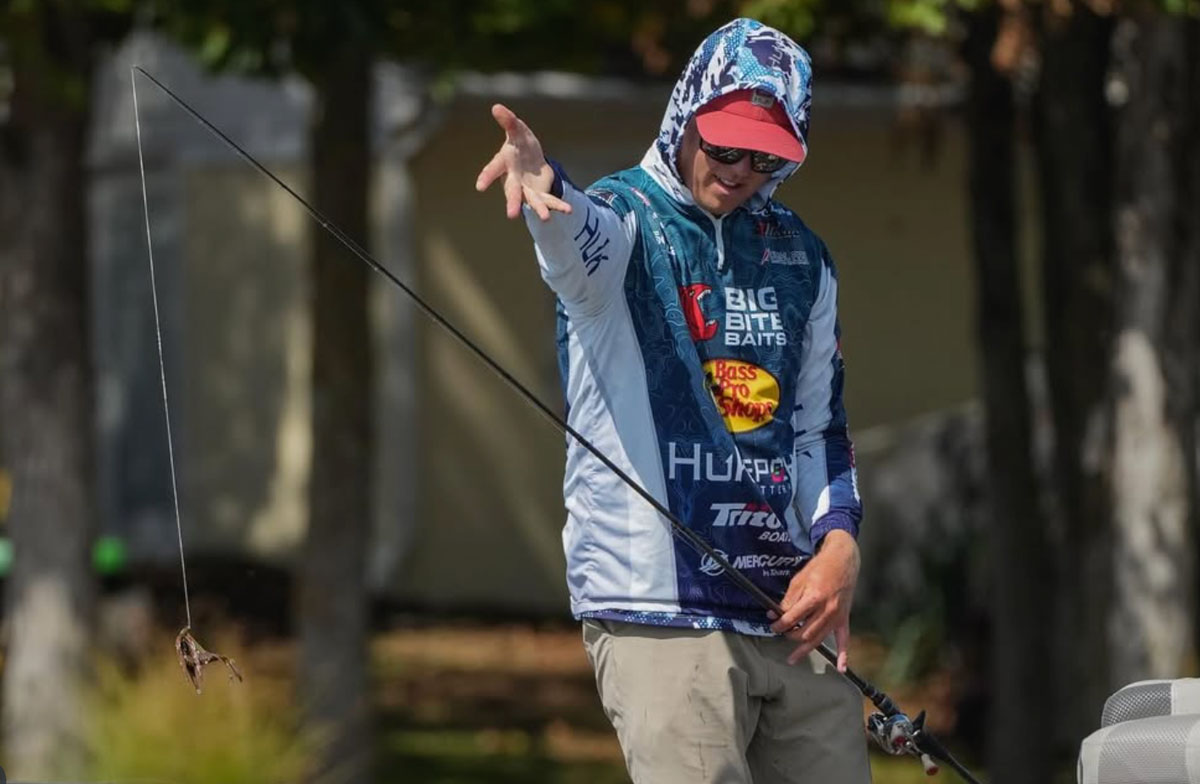 REMINDER: New old school hero, Toyota baits, Neko and dice intel 👀